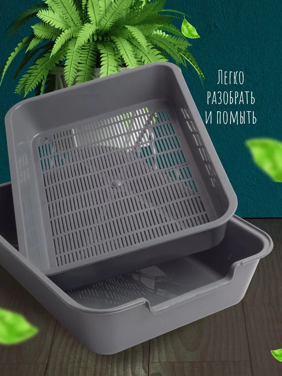 Spa ProBrush